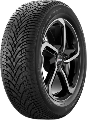 Goodrich force winter - bf,